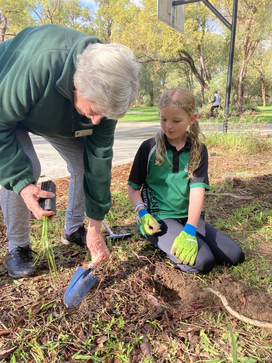 Kangaroo Paw Park tree planting 