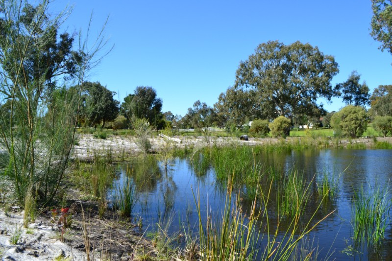 Mary Crescent Reserve