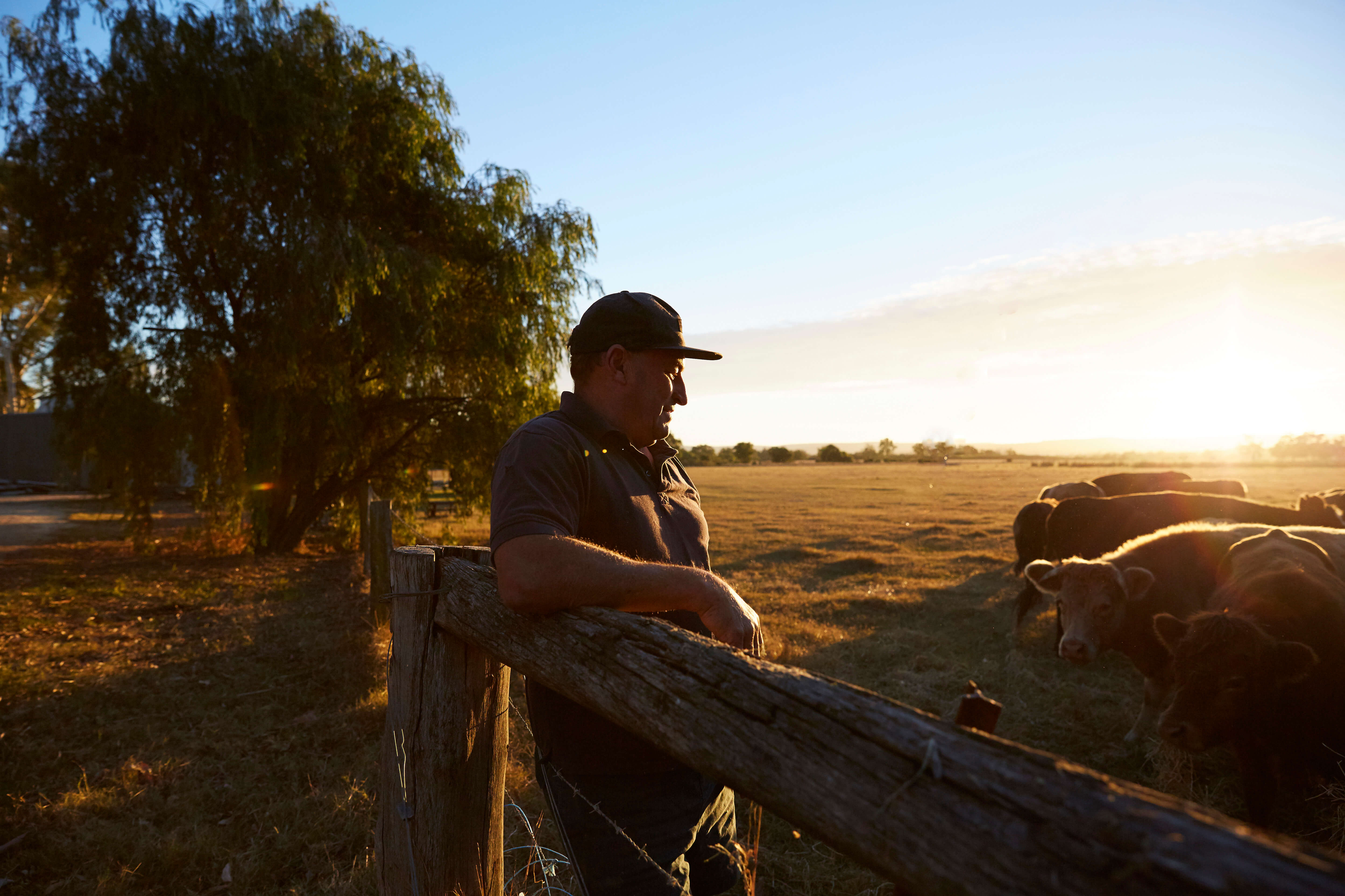 WA farming community